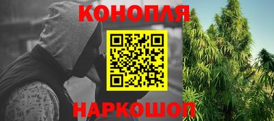 прущие грибы Ливны