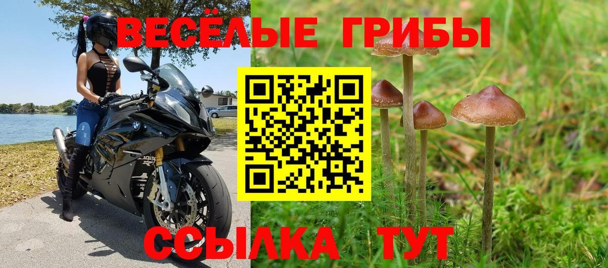 Псилоцибиновые грибы мухоморы Каменск-Шахтинский