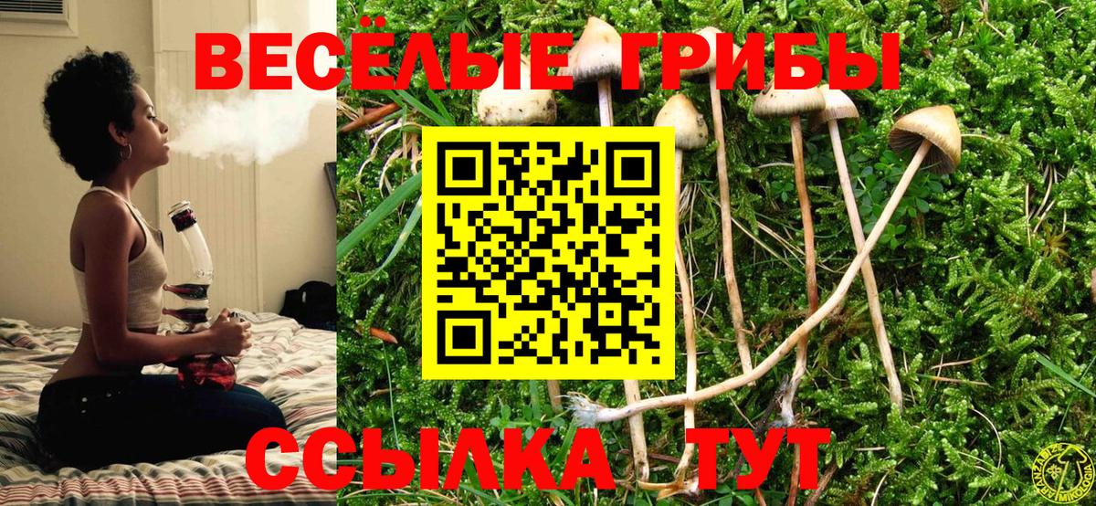 Галлюциногенные грибы Psilocybe  Вход с VPN  Псилоцибиновые грибы GOLDEN TEACHER  где продают наркотики  Каменск-Шахтинский 